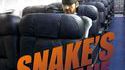 Snake on a plane