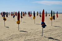 Festival de Canne