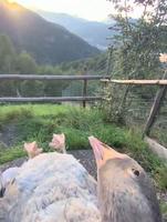 Être loin des tumultes 
