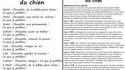 Une vie de chien