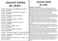 Une vie de chien
