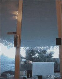 Encore un chat qui veut ouvrir une baie vitrée