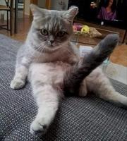 Le vendredi au réveil