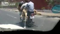 Transport en Iran