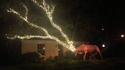 Faire feu de tous bois pour les décorations