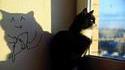 Cat's dream