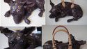 Doggy bag