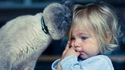 Chat consolateur
