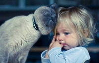 Chat consolateur