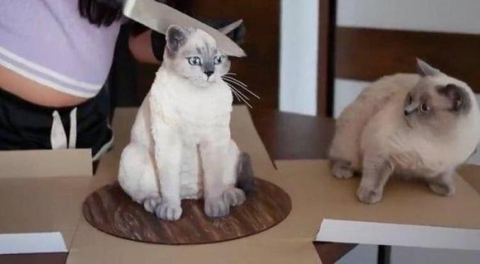 bonne idée   : faire une sculpture réaliste de chat
mauvaise idée : que ce soit un gâteau et le découper devant le modèle