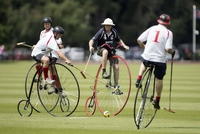 Polo sur des grands bis