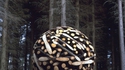 Sphère de bois géante par Lee Jae Hyo