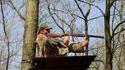 Chasseur manchot
