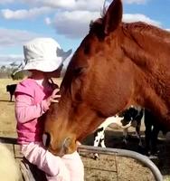 Un avenir prometteur 