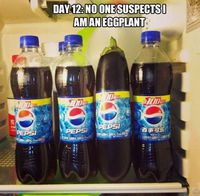 Jour 12