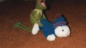 Kermit coquin