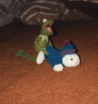 Kermit coquin