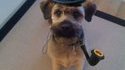 Le chien de Sherlock Holmes