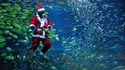 Père Noël acquatique