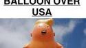 Les internautes américains sont réactifs