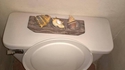 Dans les toilettes de maman