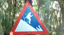Danger Crocodile