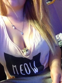 Une petite souris