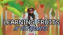 Apprendre les fruits en vietnamien