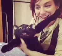 La vie de chat