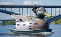 Gros canard