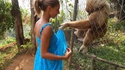 Fais voir ton singe