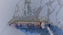 Un méthanier dans l'océan glacial arctique