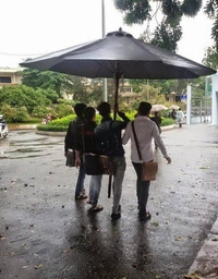 Un parasol suffit 