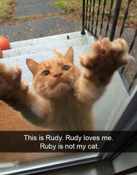 Ca, c'est Rudy