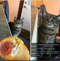 Niveau à choix multiple 