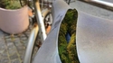 stop le vélo, une forêt retrouvée !
