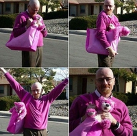 Purple Breaking Bad
