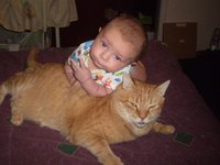 Un bébé et son chat