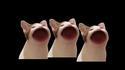 Cat Pop - Bohemian rhapsody.