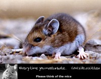 Sauvons les souris