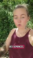 NGT