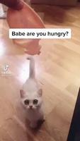 Est ce que tu as faim?