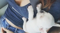 Quel beau petit chien