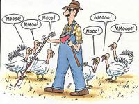 thanksgiving