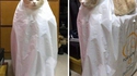 Chat que plastique
