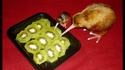 Cannibalisme ?