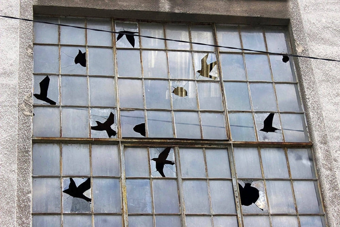 Des vitres cassées.