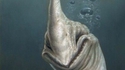 Le monstre du Loch Ness...