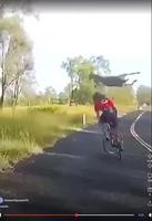Balade champêtre à vélo 
