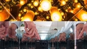 Jeu de miroirs